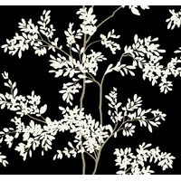 Black & White Lunaria Silhouette Wallpaper