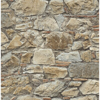 Natural Stone Wall 