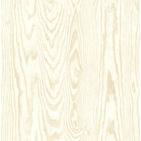 Wood Texture 