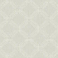 Interlocking Octagons Wallpaper