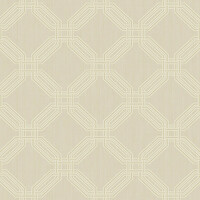 Interlocking Octagons Wallpaper