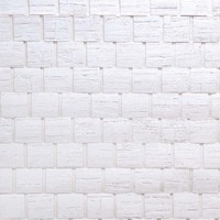 Carl Robinson White Natural Textures (NEW)